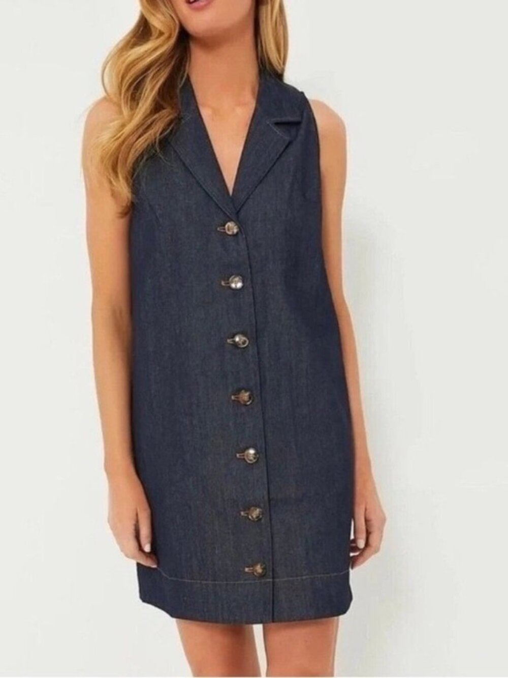 Tuckernuck Pomander Place Button Front Denim Mini Dress Small